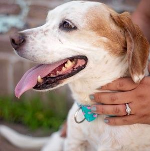 Meet your Posher, Debbi